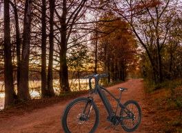 10 Tips for Riding an E-Bike at Night