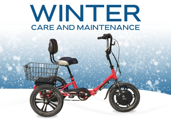 Winter Care and Maintenance