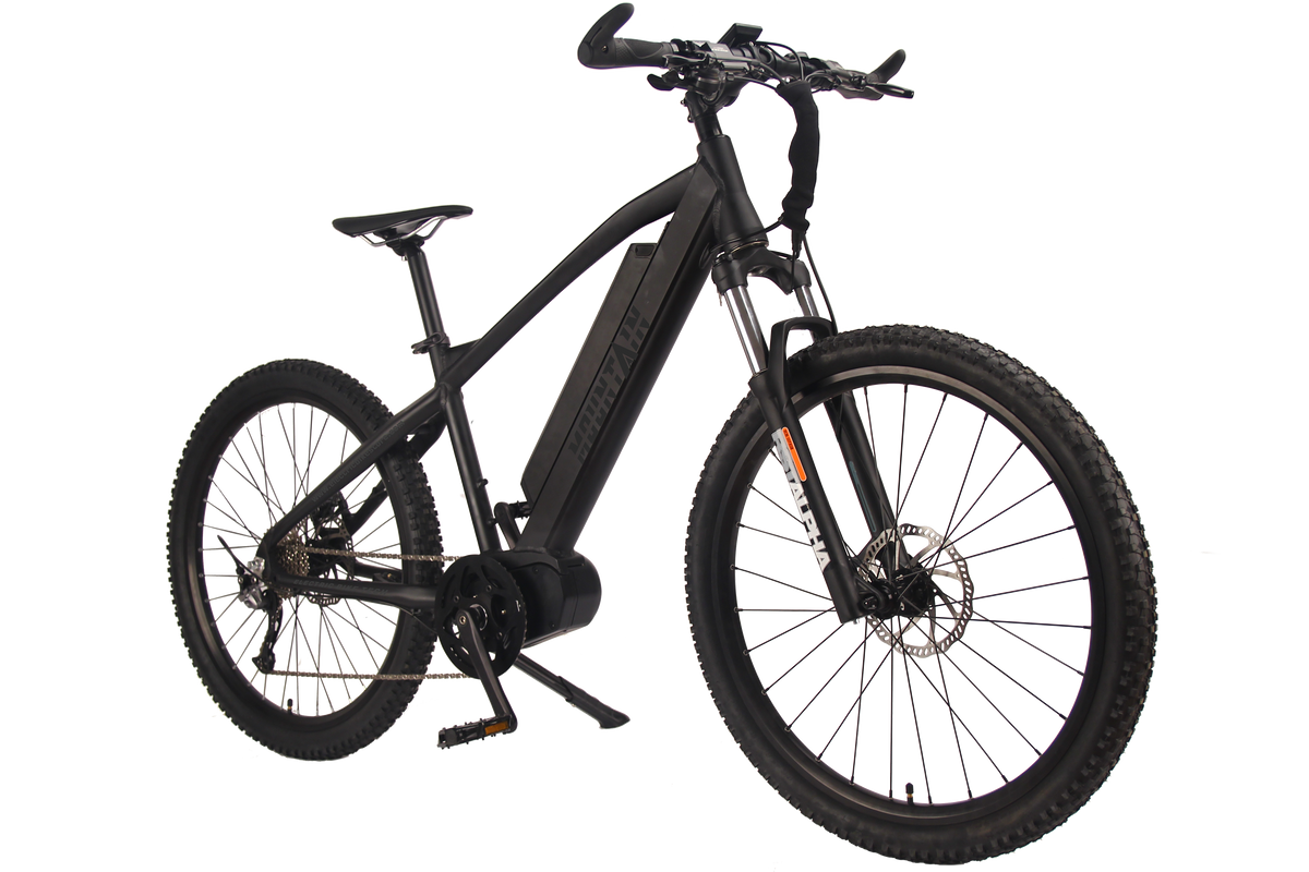 Electric bike discount shop online